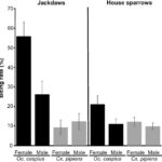 Biting rates of Ochlerotatus caspius and Culex pipiens mosquitoes on female and male jackdaws and house sparrows