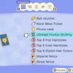 Showing the last inventory upgrade in Animal Crossing New Horizons