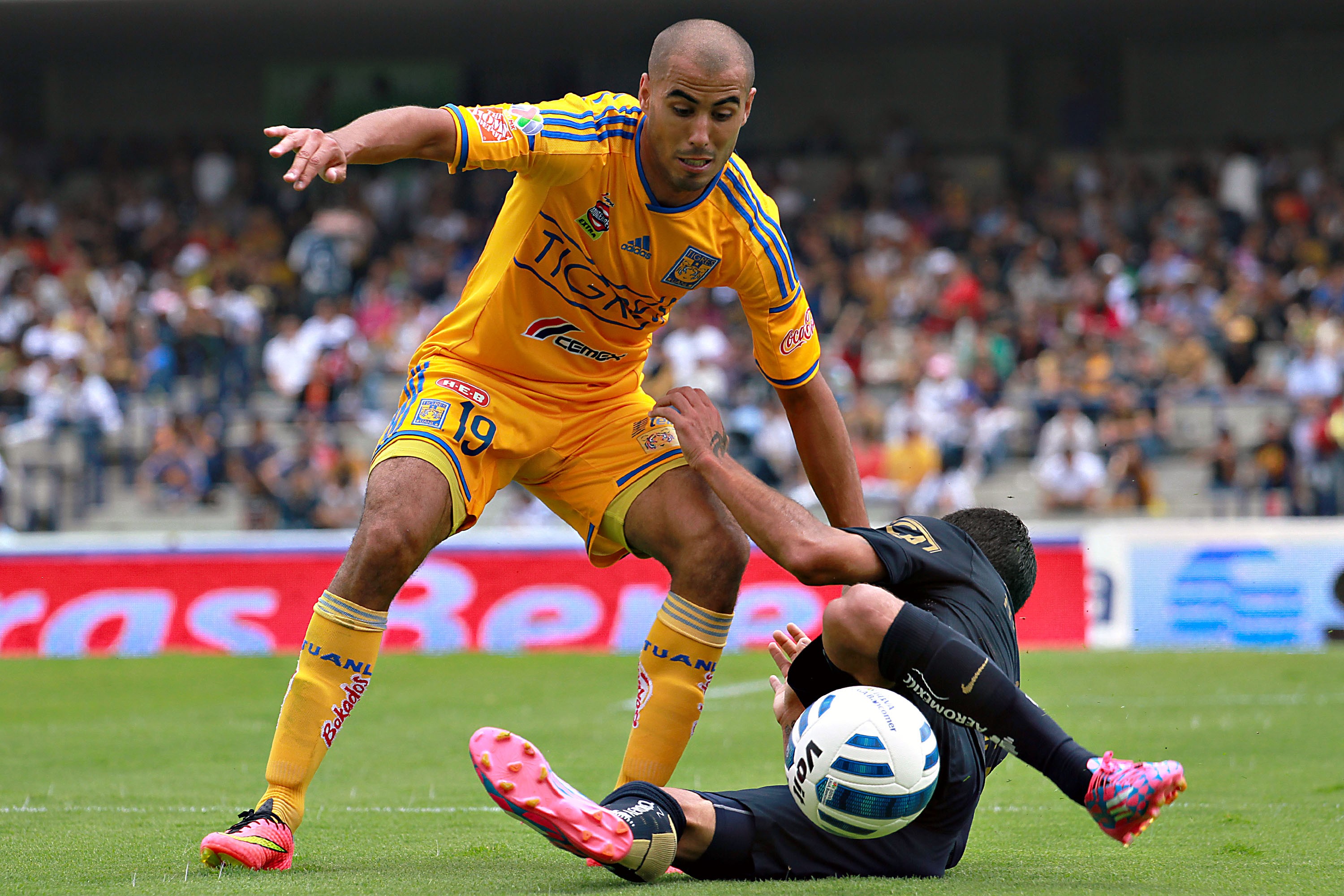 Guido Pizarro in action for Tigres UANL during a Liga MX match. The Argentine midfielder has been called up to the Argentina national team for Copa América.