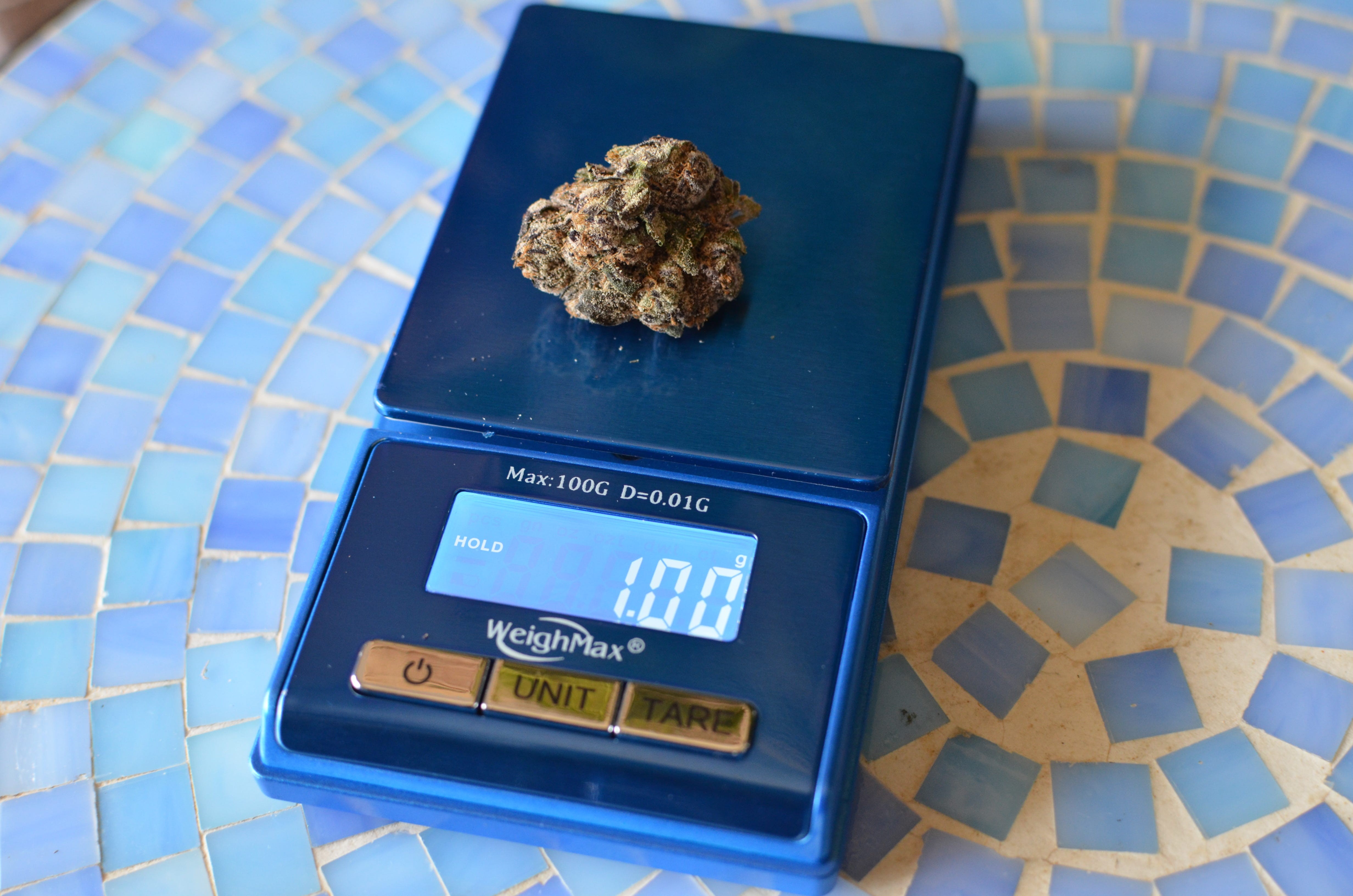 A single gram of cannabis flower, showcasing a small bud.