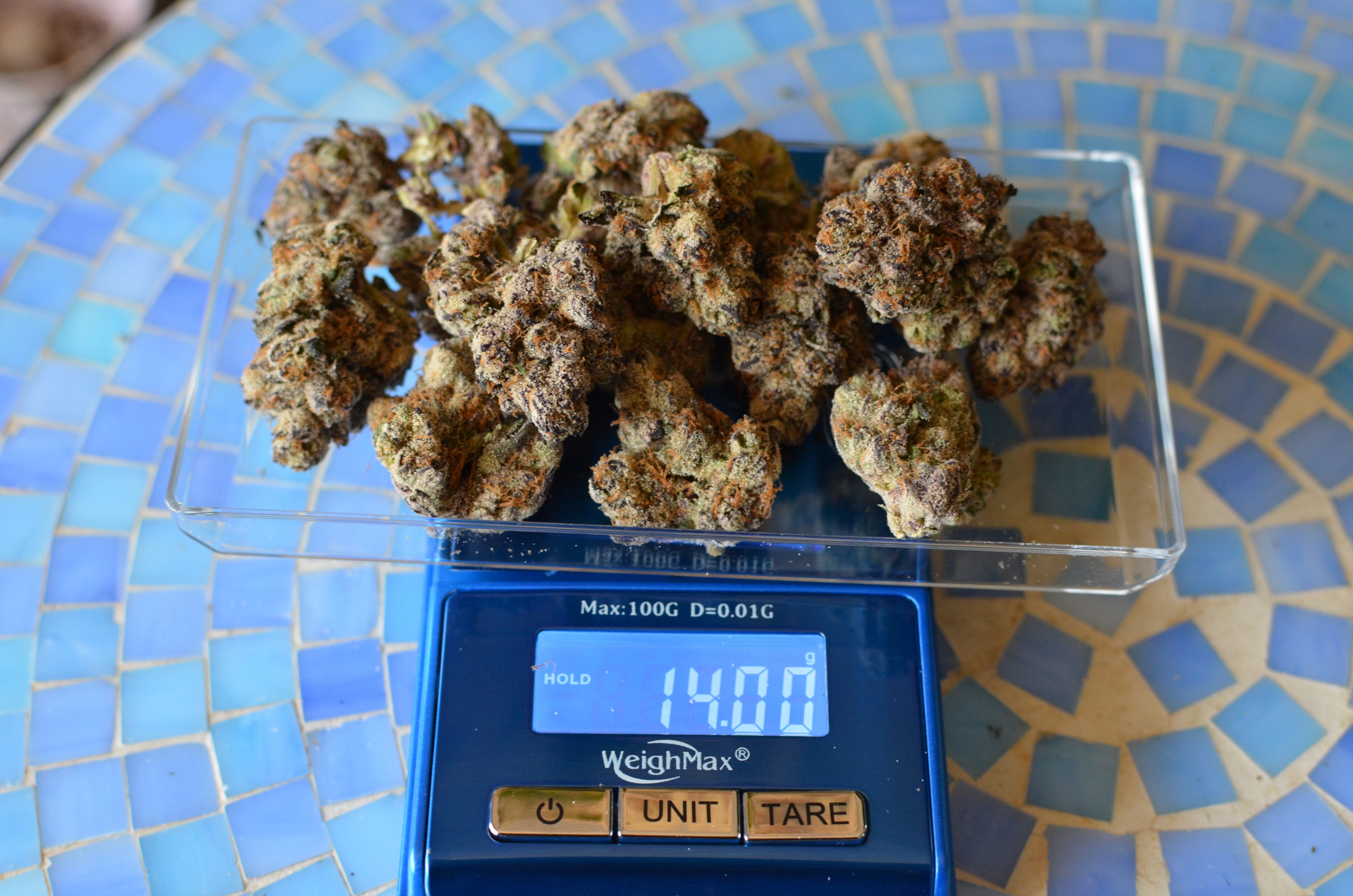 A half ounce of cannabis flower, depicted as a substantial pile of buds.