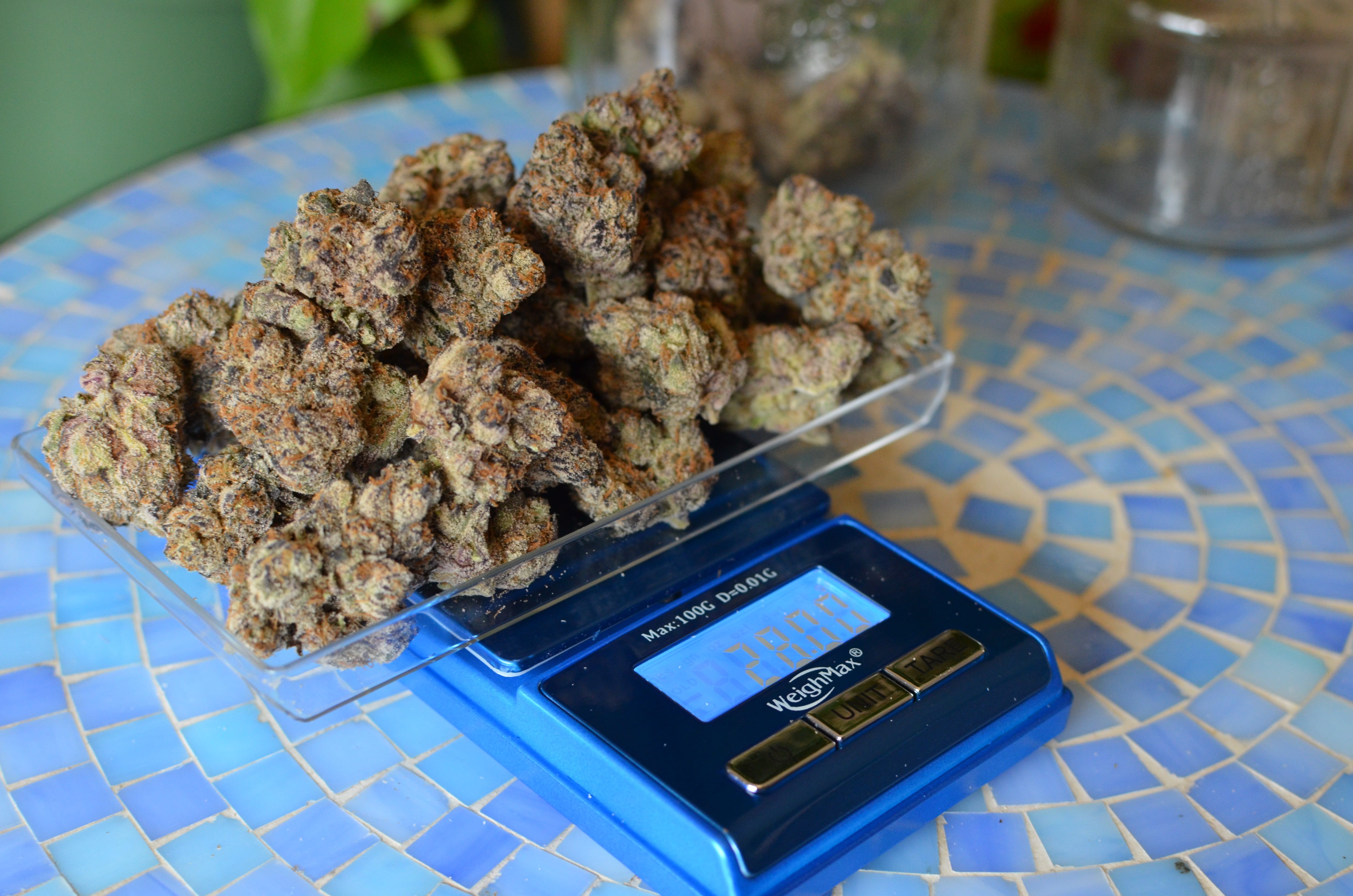 An ounce of cannabis flower, presented as a large bag full of buds.