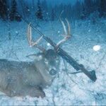 Hunter with harvested whitetail deer in Montana wilderness