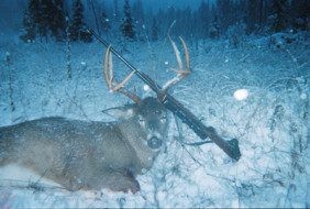 Hunter with harvested whitetail deer in Montana wilderness