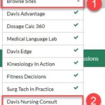 Access Davis Nursing Consult from the Browse Sites dropdown menu