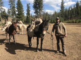 Montana wilderness elk habitat