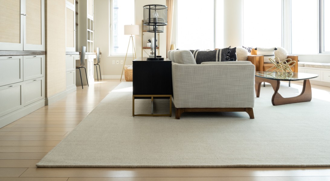 Elegant living room featuring a white rug that anchors the furniture and enhances the spacious feel.