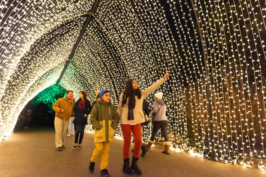 Lightscape at Chicago Botanic