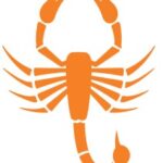 Orange silhouette of a scorpion with raised pincers and a curved tail, positioned on a white background.