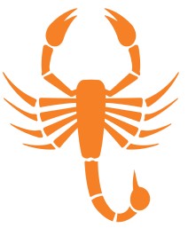 Orange silhouette of a scorpion with raised pincers and a curved tail, positioned on a white background.