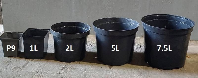 Selection of plant pots in various sizes, materials, and colors, illustrating the diversity available for gardening needs