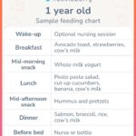 Sample Breast Feeding Schedule 1 Year