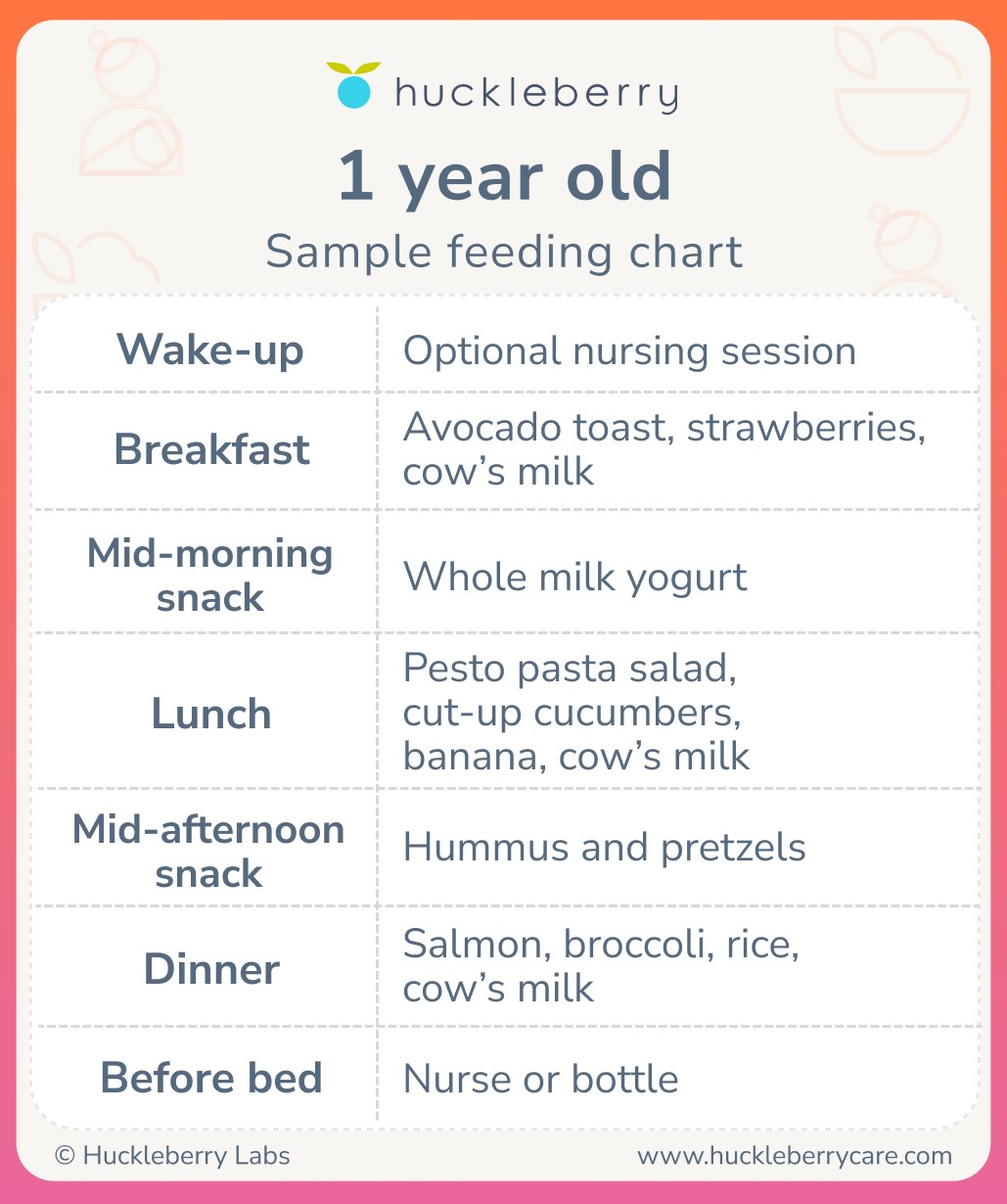 Sample Breast Feeding Schedule 1 Year