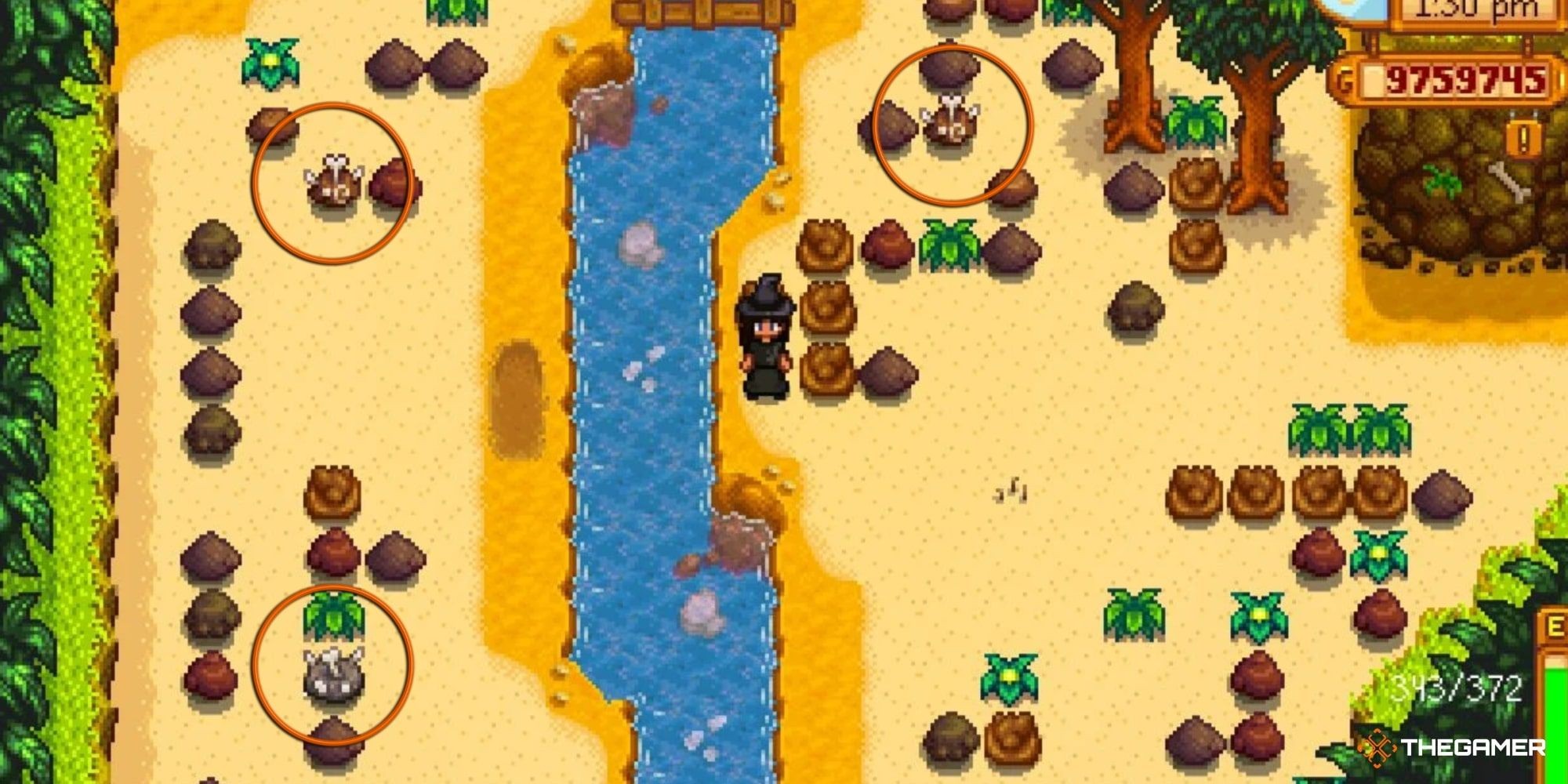 Stardew Valley Ginger Island - Dig Site Bone Nodes