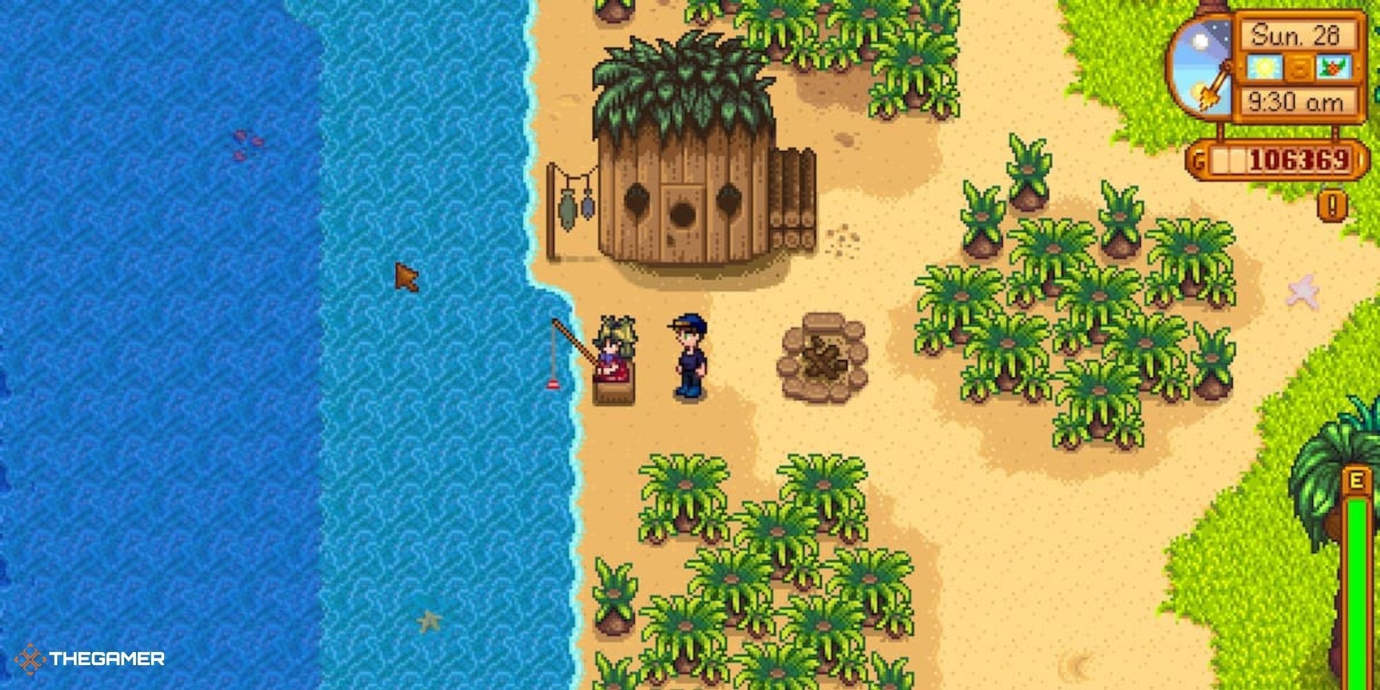 Stardew Valley - Ginger Island - pirate