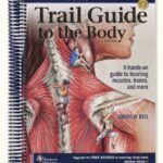 Trail Guide to the Body 6th Edition Book Cover