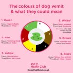 Dog vomit color chart