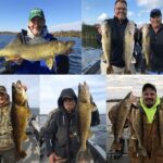 Walleye caught in Brainerd Lakes Area, showcasing the expertise of local fishing guides in locating prime walleye habitats.