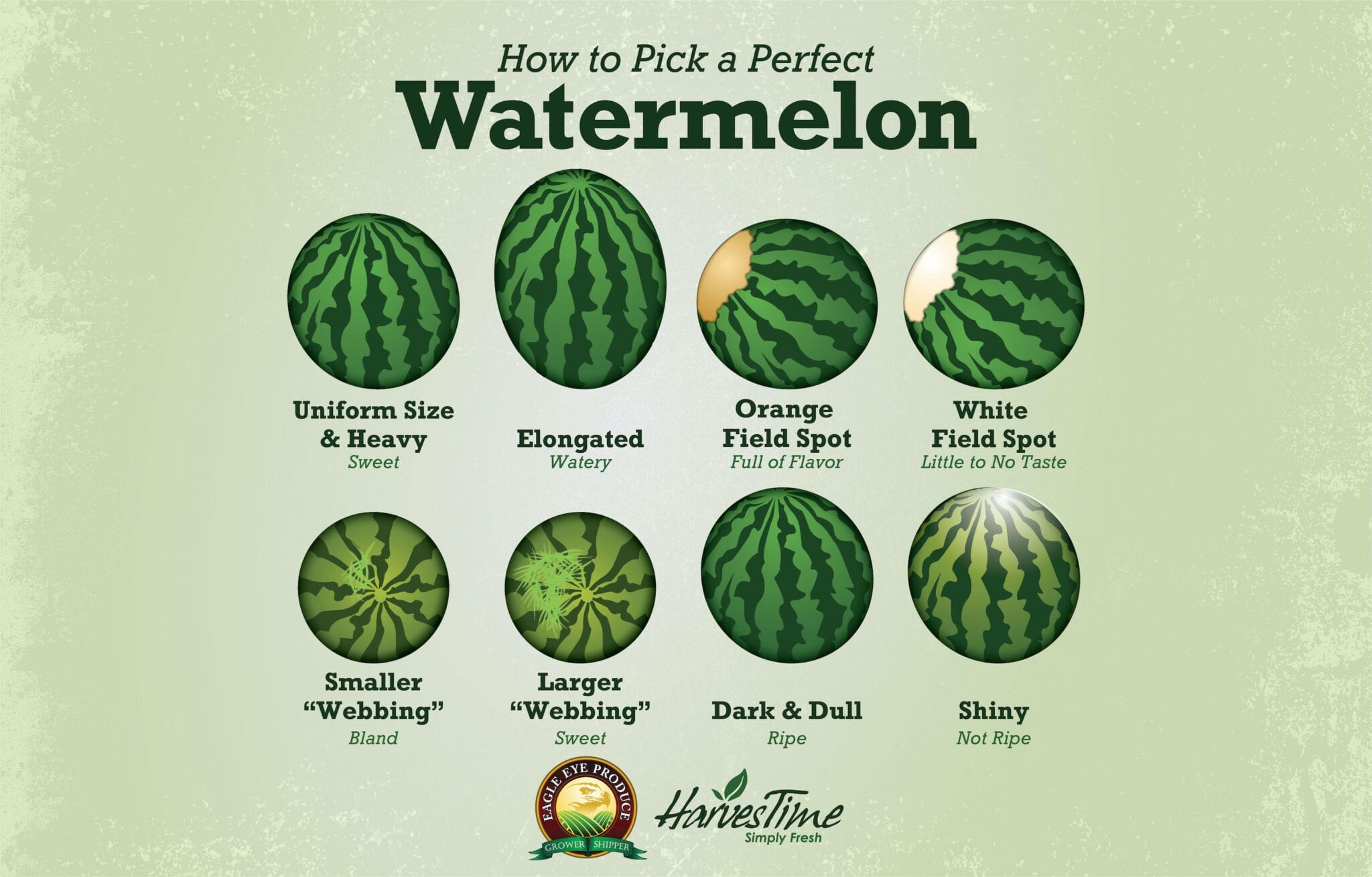 Juicy and ripe watermelon, perfect for summer picnics, ready to be sliced and enjoyed following our watermelon picking guide.