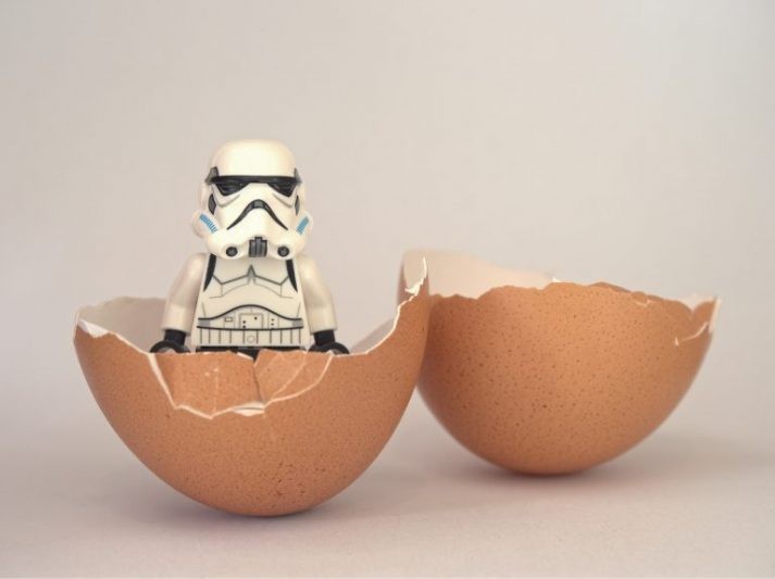 Lego in an egg, symbolizing protein.